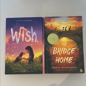 Wish & The Bridge Home - Colorful Purple and Orange Covers